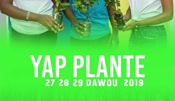 YAP plante : Pour sauver l’environnement de Léogâne